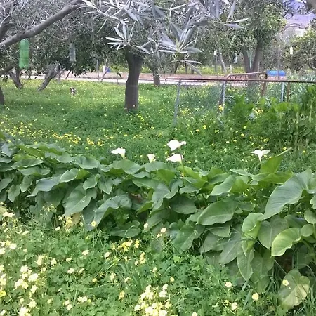 El Cortijo De La Abuela * Benahadux