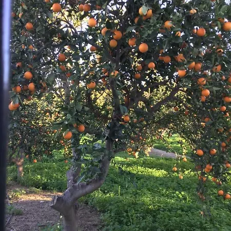 El Cortijo De La Abuela * Benahadux