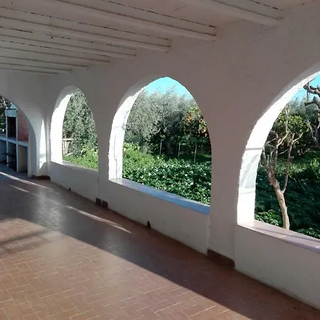 El Cortijo De La Abuela Benahadux